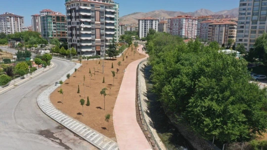 Çınar, Horata Deresi etrafındaki yeşillendirme çalışmalarını inceledi