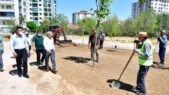 Çınar, Horata Deresi etrafındaki yeşillendirme çalışmalarını inceledi