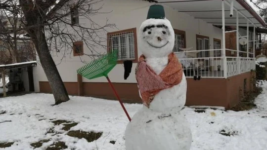 Çocukların tepsiyle kayak keyfi