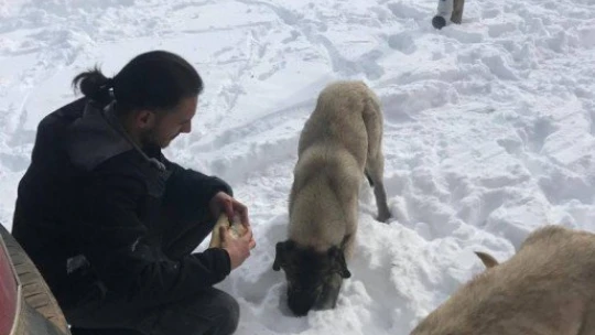 Çocukların tepsiyle kayak keyfi