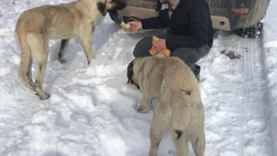 Çocukların tepsiyle kayak keyfi