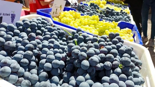 Coğrafi işaretli ürünler yoğun ilgi gördü