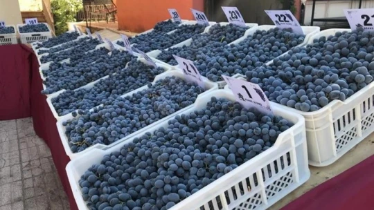 Coğrafi işaretli ürünler yoğun ilgi gördü