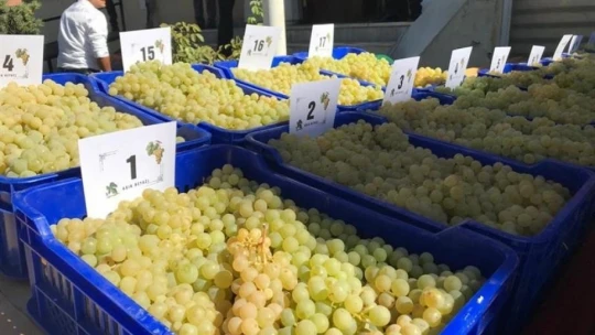 Coğrafi işaretli ürünler yoğun ilgi gördü