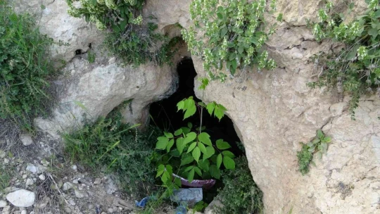 Define uğruna 2 bin yıllık kaya mezarlar tahrip edildi