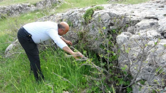 Define uğruna 2 bin yıllık kaya mezarlar tahrip edildi