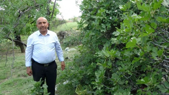 Define uğruna 2 bin yıllık kaya mezarlar tahrip edildi