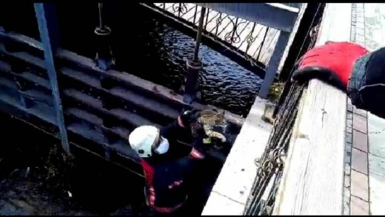 Demir korkuluklara sıkışan kediyi itfaiye kurtardı