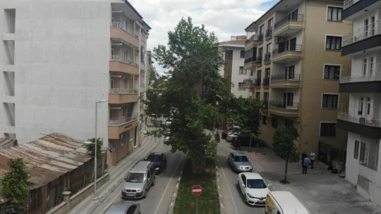 Dev çınar ahşap kapı ile korunuyor