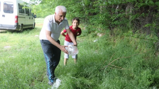 Malatya'da sarı benekli semender bulundu
