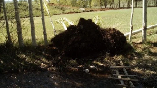 Doğanşehir'de fırtına etkili oldu