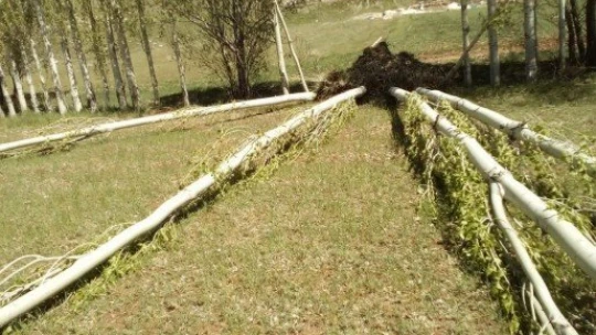 Doğanşehir'de fırtına etkili oldu