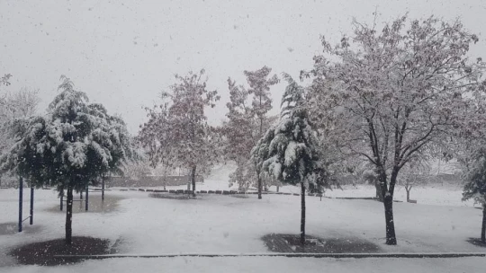Doğanşehir'de kar yağışı başladı