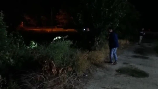 Domuzlar mahalleye indi, vatandaşlar panik yaşadı