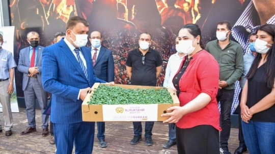 Dondan zarar gören çiftçilere fide desteği