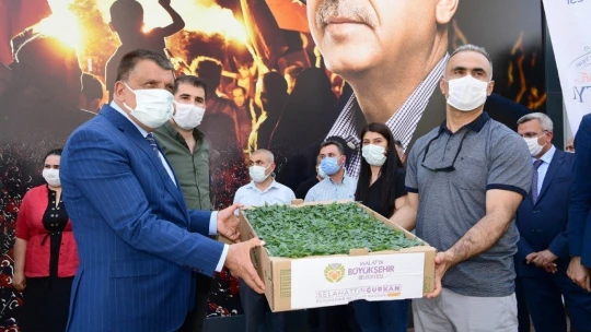 Dondan zarar gören çiftçilere fide desteği