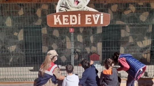 Down sendromlu çocukların hayvan ilgisi