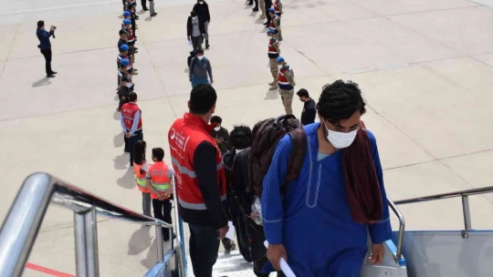 Düzensiz göçmenler sınır dışı ediliyor