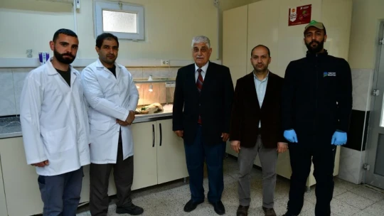 Ekipler, demir kapıya sıkışan kediyi kurtardı