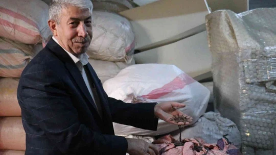 El yapımı halıya en büyük talep Amerika'dan