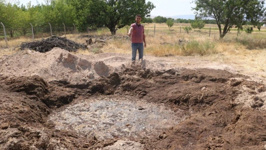 Binlerce tavuk telef oldu