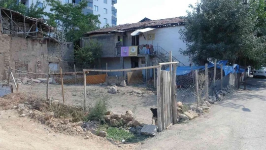 Emekli maaşını sokak hayvanlarına harcıyor