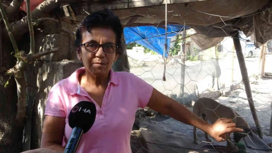 Emekli maaşını sokak hayvanlarına harcıyor