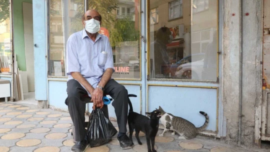 Emekli maaşıyla 200 kediyi besliyor