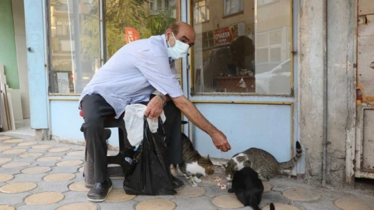 Emekli maaşıyla 200 kediyi besliyor