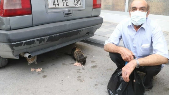 Emekli maaşıyla 200 kediyi besliyor