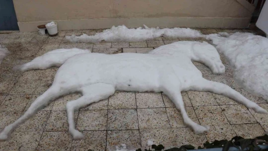 Engelli eğitmen yağan karı sanata dönüştürdü