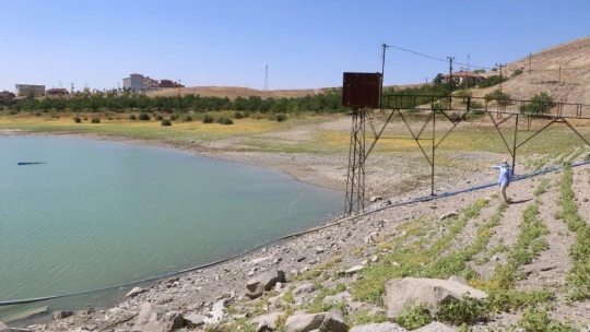 Göçmen kuşların mekanı olan göleti kuraklık vurdu
