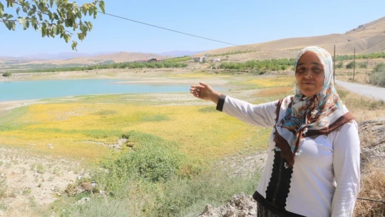 Göçmen kuşların mekanı olan göleti kuraklık vurdu