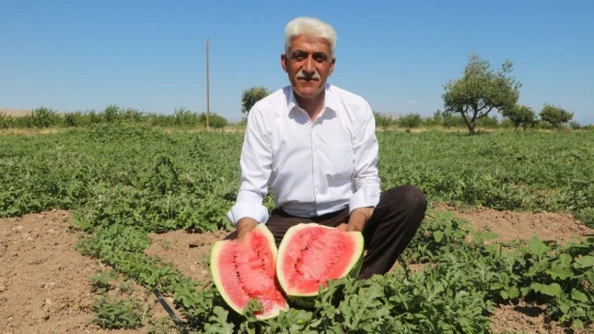 Görüntüsü göz kamaştırıyor, lezzeti damakları tatlandırıyor