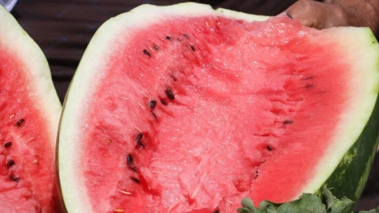 Görüntüsü göz kamaştırıyor, lezzeti damakları tatlandırıyor