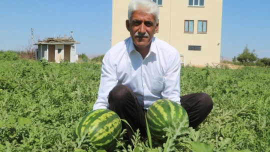 Görüntüsü göz kamaştırıyor, lezzeti damakları tatlandırıyor