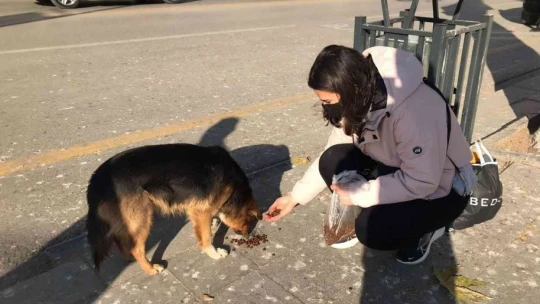 Harçlığından biriktirdiği paralarla sokak hayvanlarını besliyor