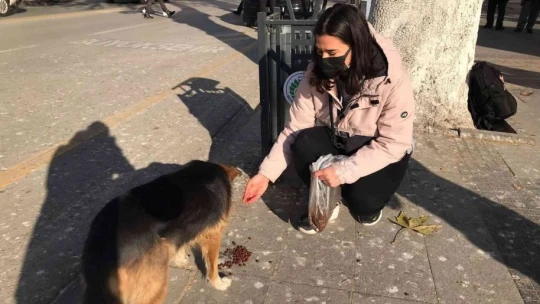 Harçlığından biriktirdiği paralarla sokak hayvanlarını besliyor