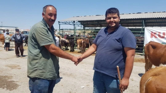 Hayvan pazarında sıkı pazarlıklar sürüyor