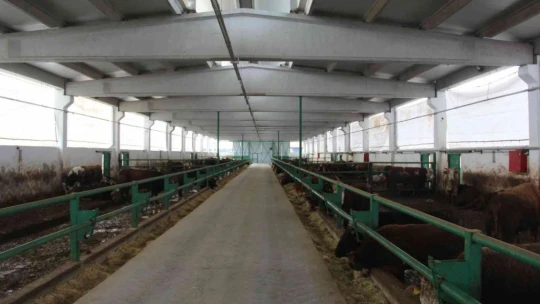 Hayvan yetiştiricilerine soğuk hava uyarısı