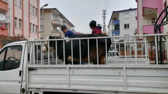 Hayvanı çalınan teyzenin yüzünü polis güldürdü