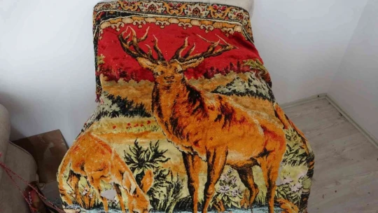 Hediye ile başlayan merak koleksiyona dönüştü