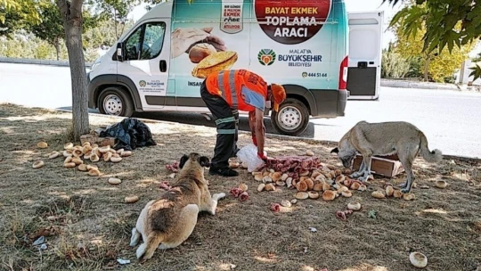Hem ekmek israfı önleniyor hem de hayvanlar aç kalmıyor
