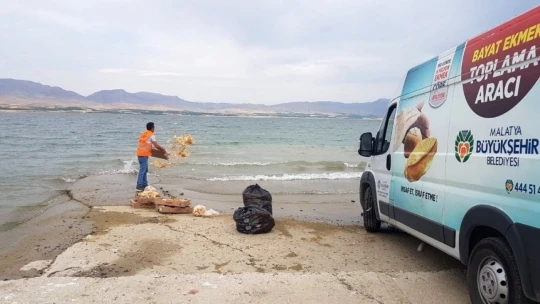 Hem ekmek israfı önleniyor hem de hayvanlar aç kalmıyor