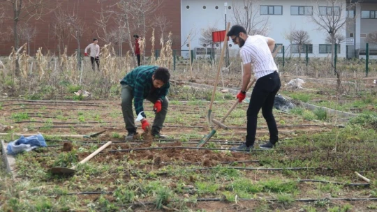Hobi bahçeleri öğrencilerin hizmetinde