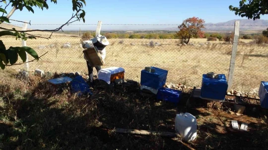 Hobi ile başladı hanım ağa olma yolunda ilerliyor