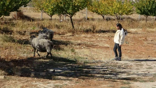 Hobi ile başladı hanım ağa olma yolunda ilerliyor