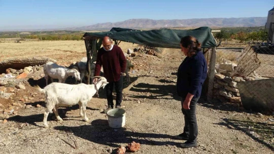 Hobi ile başladı hanım ağa olma yolunda ilerliyor