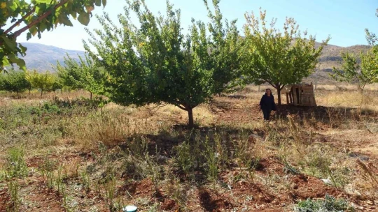 Hobi ile başladı hanım ağa olma yolunda ilerliyor