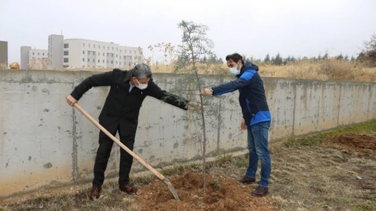 İletişimciler de fidan kampanyasına katıldı